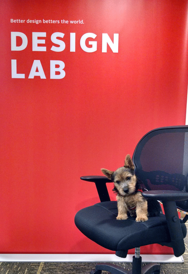 Design Lab tweet media