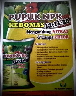 NPK KEBOMAS 12-11-20 ,minat cek bio <a href="/pertanian_ID/">pertanian_ID</a> <a href="/BeritaJatengID/">Info Jateng</a> <a href="/Pasar_Petani/">pasar petani</a> <a href="/suarajatim/">Suara Jawa Timur</a> <a href="/GoRiauCom/">Go Riau</a>