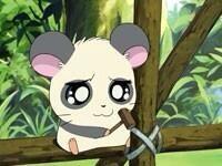 まめはむ No Twitter ぱんだくん Http T Co Ab6vq07yn3
