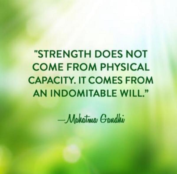 Image result for strength from indomitable will