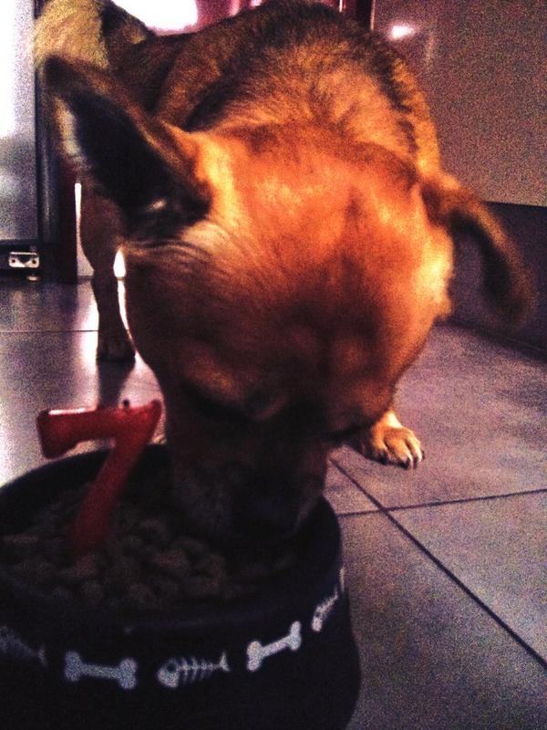 zaiida22's tweet photo. I ja van 7 🎉🎊#permoltsanysmes http://t.co/sclOUMQzL3