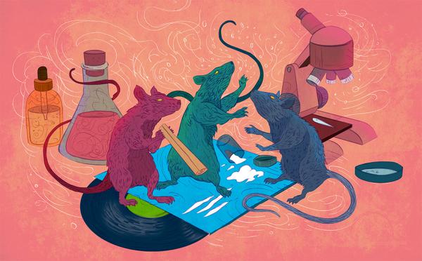 Rats on cocaine listening to Miles Davis: buzzfeed.com/keeganhamilton… awesomely illustrated by Michael Wandelmaier