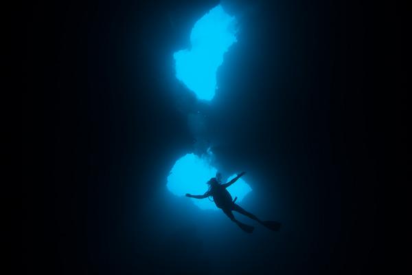 StandWithPalau tweet media