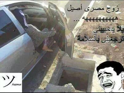 f8512d34a22c46e's tweet image. 