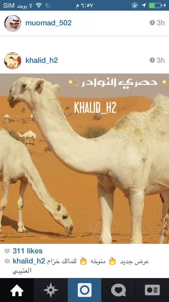 bs2023's tweet image. 