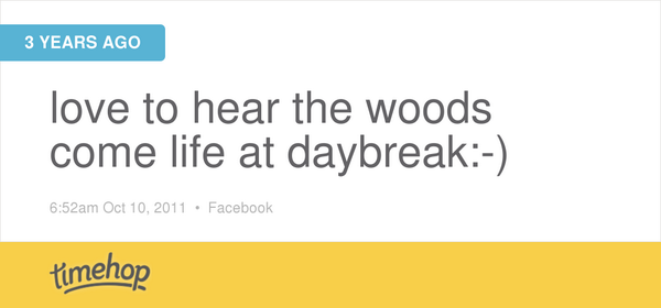 Betty Peterson tweet media