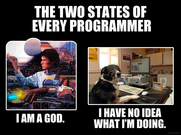 The two states of being a programmer. (usually the dog)