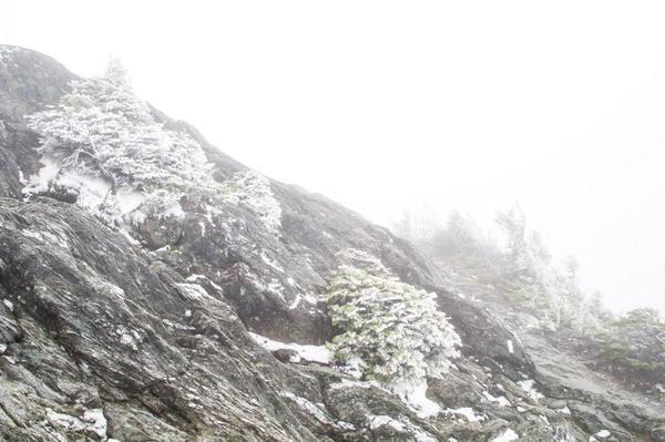 Today's Conditions Report: Blowy wind and icy hard-pack. #winteriscoming #Vermont