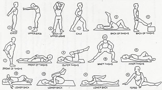 Amaya_Fitness on Twitter: 