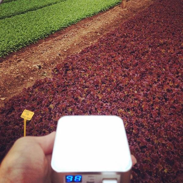 alefeldman's tweet photo. #NoSinMiInload soy #Inloader de primera hora!!! Ya no se que haría sin el!!! Un #FF para el Club #inLoader http://t.co/r7IzYdhXua