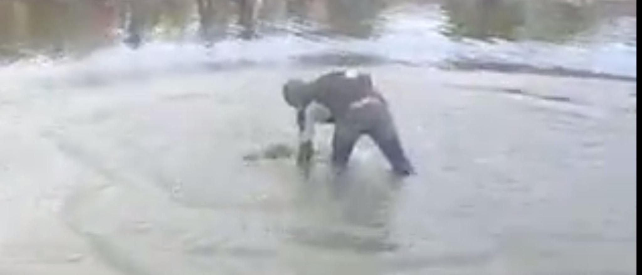 Embedded image permalink