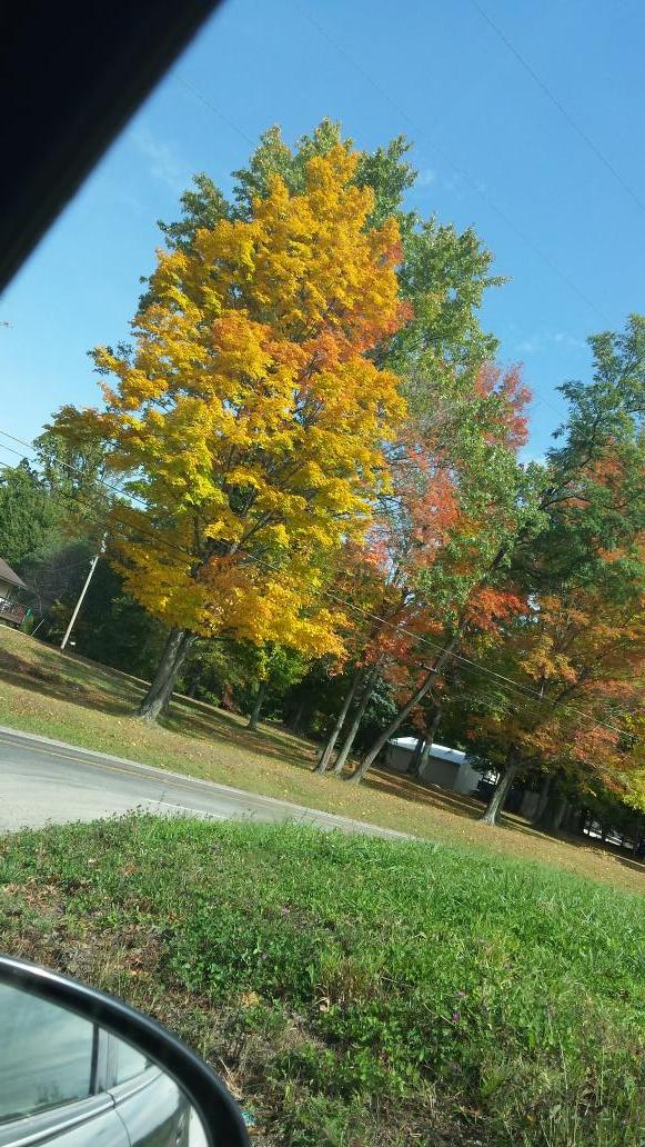 marshebarnes's tweet photo. Burnnnyyπβ #BeautifulDay #LiftedAtTheMoment #FallinForFall http://t.co/mGRaW1Pxwf