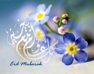 mohamme06340407's tweet photo. http://t.co/dWycbHpdZV