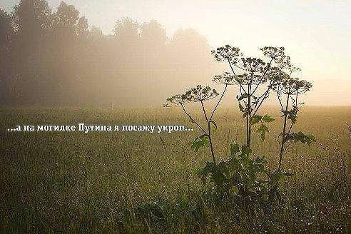 Genrix81's tweet image. 