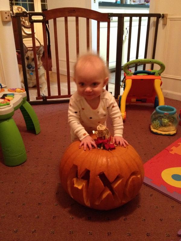 Chris Compson tweet media