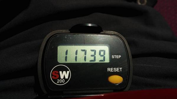 BritInWgtn's tweet photo. The other reward for walking #Rangitito #10000steps #worstpacescenario @EmmaSlie @katie_pai @GemBevan @Lauraj_barlow http://t.co/Y6eaWOGjLi