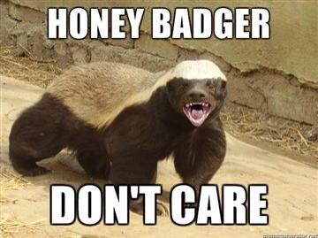 Hooperrocks2's tweet photo. U see dis honey badger don't care about bus 3 #bus4rules #bus3sucks @JValentine604 @theonlycotter http://t.co/MwN0NmY9HX