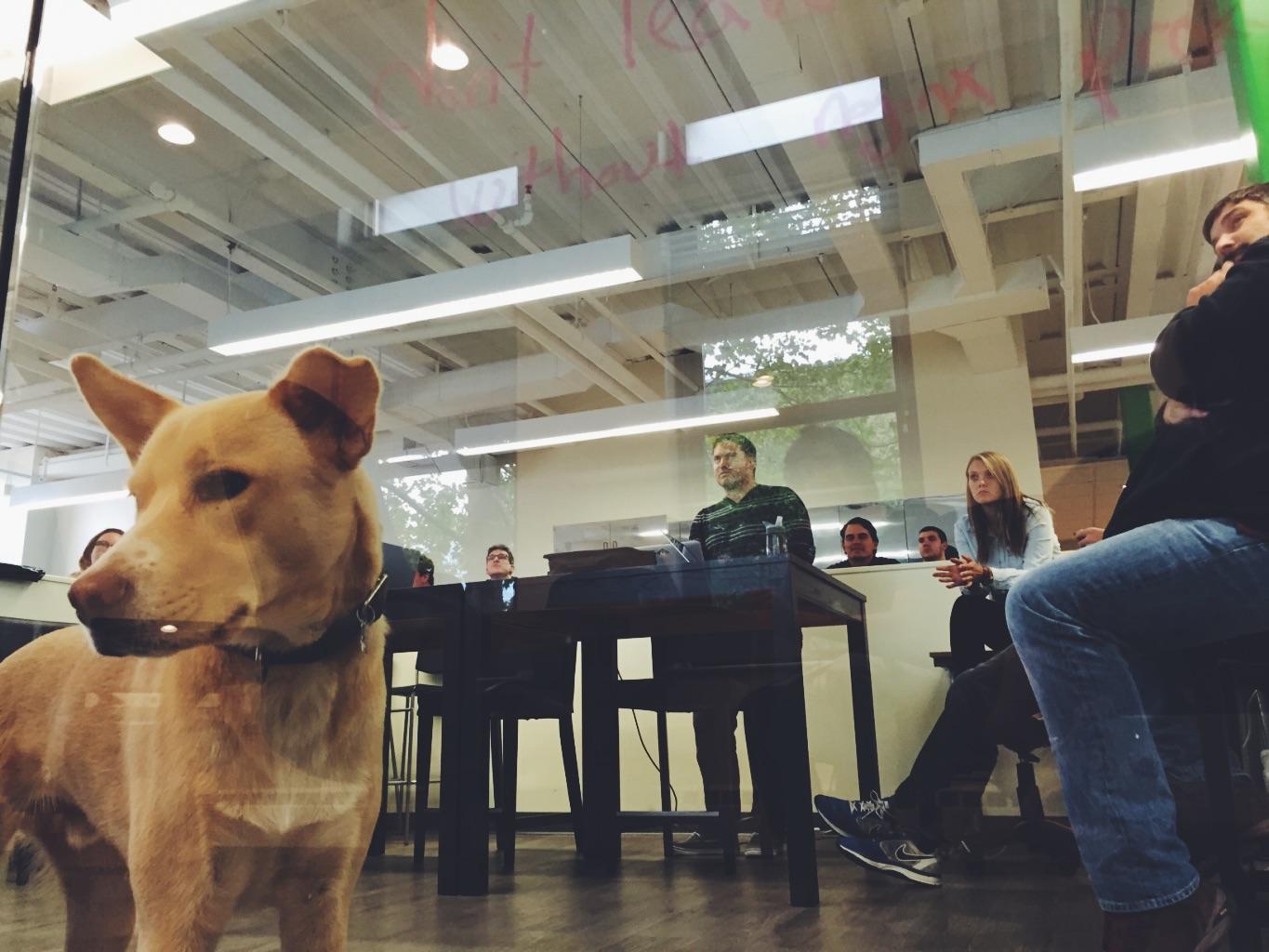 Embedded image permalink