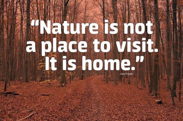 greenpeaceusa's tweet photo. We only have one planet we call home. Let's make sure we take care of it. #protectourplanet http://t.co/kExGx7eEnW