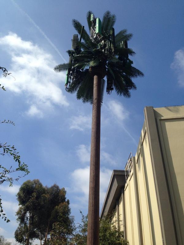 keencolo's tweet image. Oh really #LA, we&apos;re doing #FakePalmTrees now!? #FakePalmTree #LosAngeles #California #PalmTree