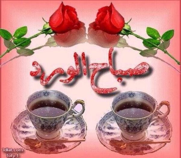 المشتاق 509 (@50973121111) on Twitter photo 