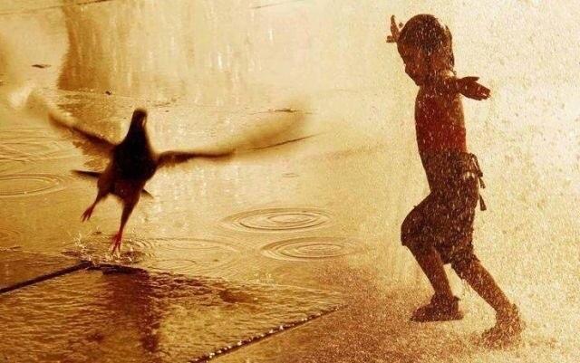 BznkKe_IIAAtHSw.jpg:large