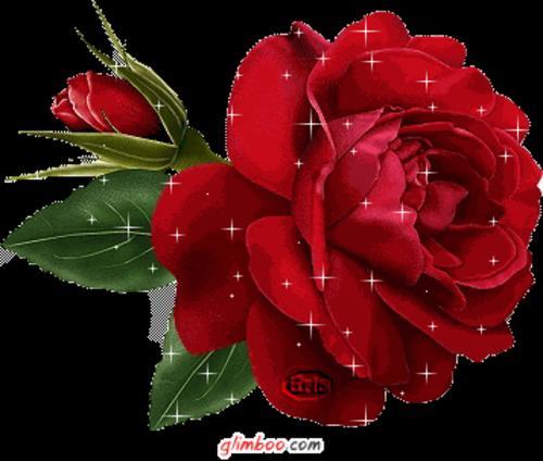 SOY TU MINION on Twitter: "una rosa para la mujer mas hermosa, animo @TuPincheMinnie te vez mas ...