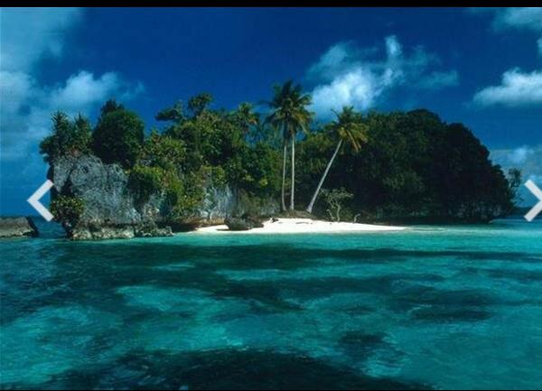 StandWithPalau tweet media