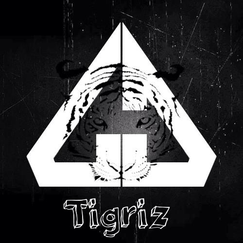 ClanAzpect's tweet image. Welcome tigriz