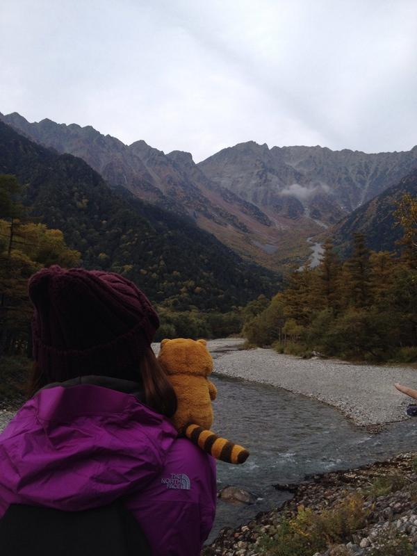 rascalmagic1's tweet image. 先週のこと、肩の上で、ヤッホー