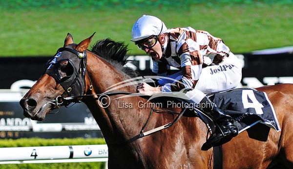 LisaGrimm9's tweet photo. @RedoutesChoice son #HAMPTONCOURT is the Spring Champion !! #JoshParr @GaiWaterhouse1 @ArrowfieldStud @atc_races http://t.co/9UwhQg9GRo