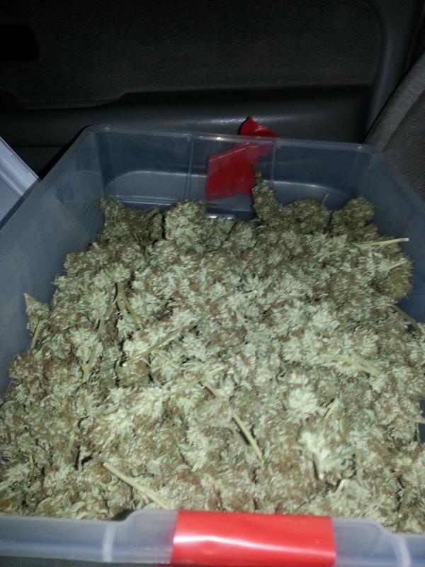 card51177's tweet photo. 4 hours worth of work sum cherry pie🔥🔥🔥🔥🔥 http://t.co/60Qc04ciUl
