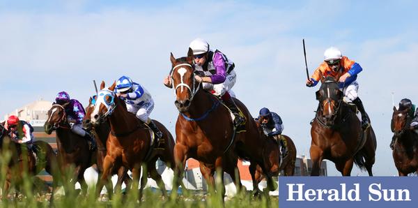 1000 Guineaswinner  #Amicus ridden by @HugeBowman 4 @cwallerracing @superracing #CaulfieldGuineasDay @heraldsunsport