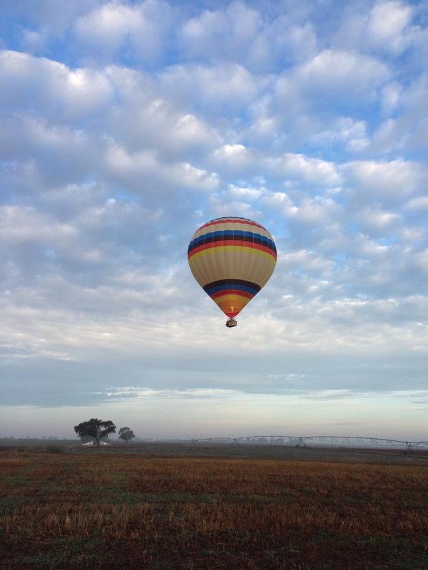 Up Alentejo tweet media