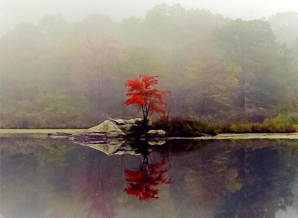 EL OTOÑO SE ACERCA CON MUY POCO RUIDO...* - Página 11 BzpqqksIgAEr0I8