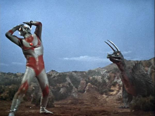 カーリュー tweet media