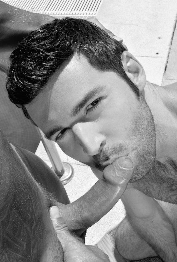 BzqElEgCIAIfibX.jpg:large