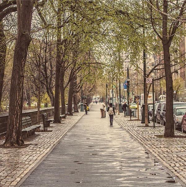 RinconesNY's tweet image. Colores de otoño en las calles de #NewYork 🍁🍃🌲🌿🌾🍂
