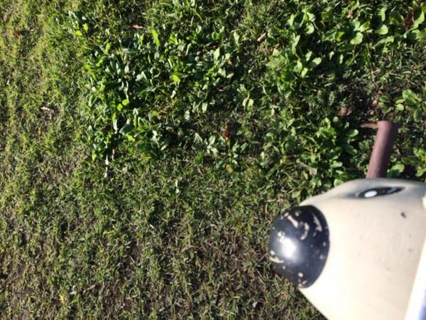 兵藤誠 手動 Makoto Hyodo26 Twitter