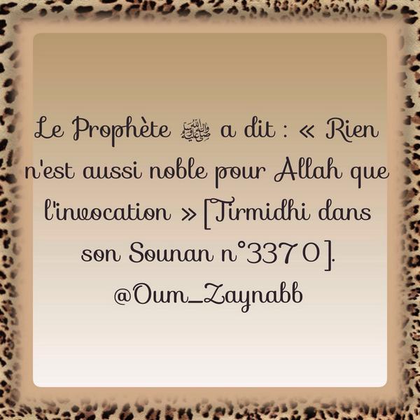 Montage d'Oum Zaynab n°34 BzqVjGnCEAE4ytl