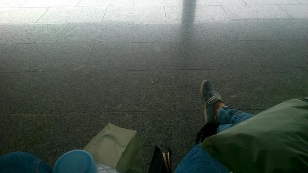 Adiós bus, en tierra.