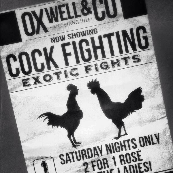 It's on again! Cockfighting Saturdays at Oxwell &amp; Co. 2 for 1 glass of Rose for the ladies!