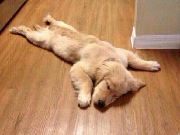 Mi estado de ánimo en este momento: