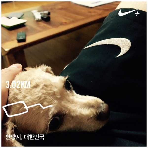 SwagJayG's tweet photo. 9일차 개는 개다 나보다 잘뛴다 Nike+ Running를 사용하여 3.02 km 러닝을 마쳤습니다 http://t.co/fW7lfur0AF #nikeplus http://t.co/afyWItw7pO