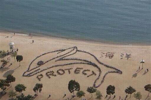 _Paisajes_'s tweet photo. 800 niños hicieron esta figura para protestar contra las masacres de delfines. Hong Kong http://t.co/7rgNw3Ow2H