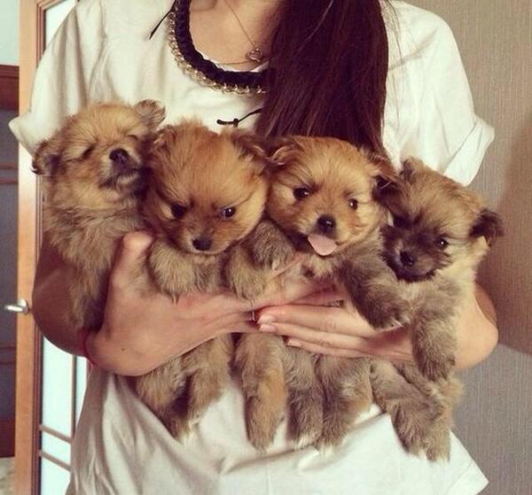 StumblerTop's tweet image. I want them all