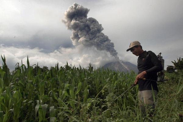 Sabar-sabari rukur e, bapa si perkeleng. Gia  deleng #sinabung ndai la suriangen...