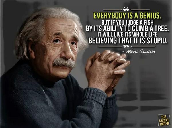 RT @KariJoys: Everybody is a genius! ~Albert Einstein  RT @ruqaiya_iqbal #JoYTrain https://t.co/obSAtI5cPY