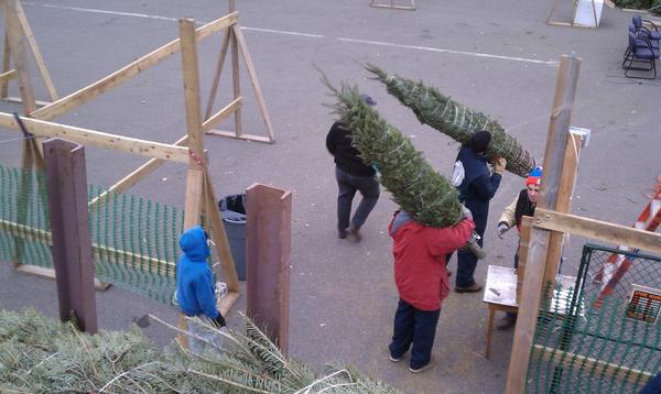 NativityTreeLot's tweet image. A preview of the upcoming Super Saturday.