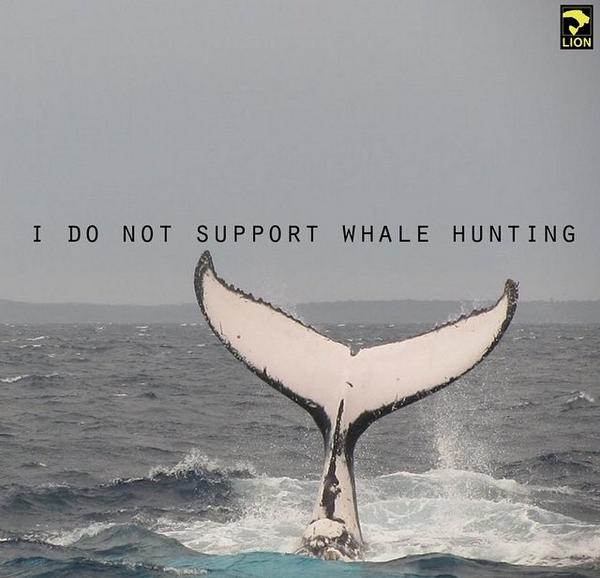 RT if you do NOT support whale hunting! ❤️🐋